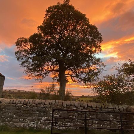 Wydon Farm Bed And Breakfast Haltwhistle Exterior foto